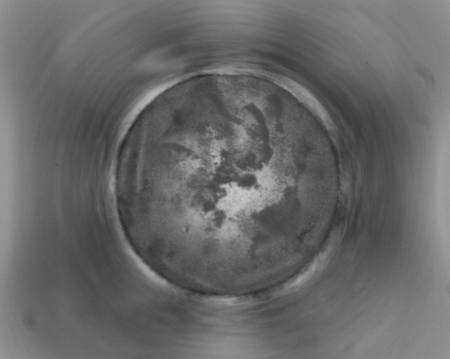 X0000113860855200910081704