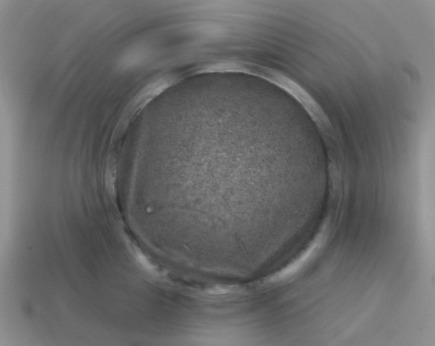 X0000113860857200910081704
