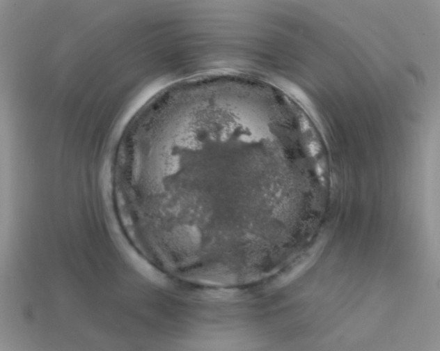 X0000113860859200910081704