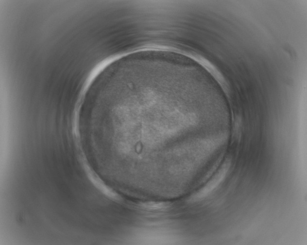 X0000113860862200910081704