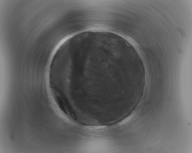 X0000113860864200910081704