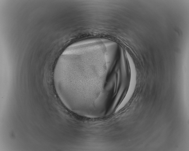 X0000113860865200910081704