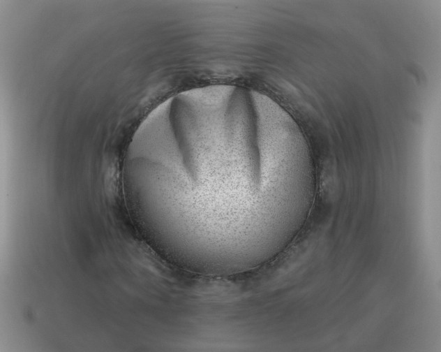 X0000113860866200910081704