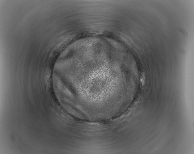 X0000113860867200910081704