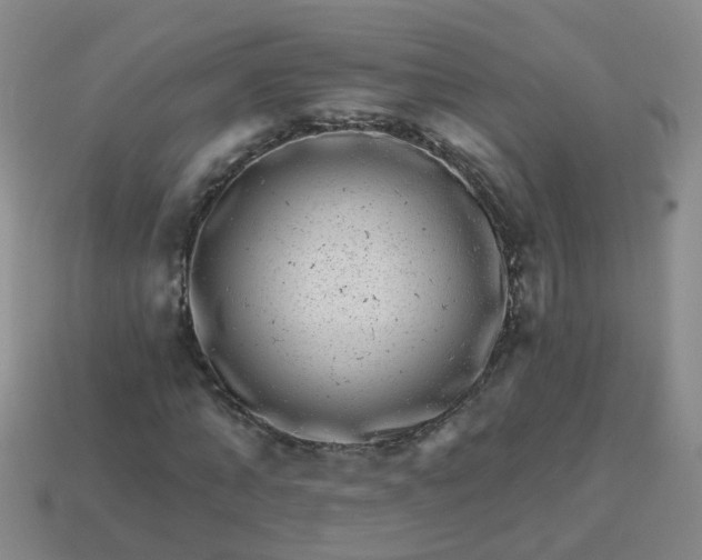 X0000113860870200910081704