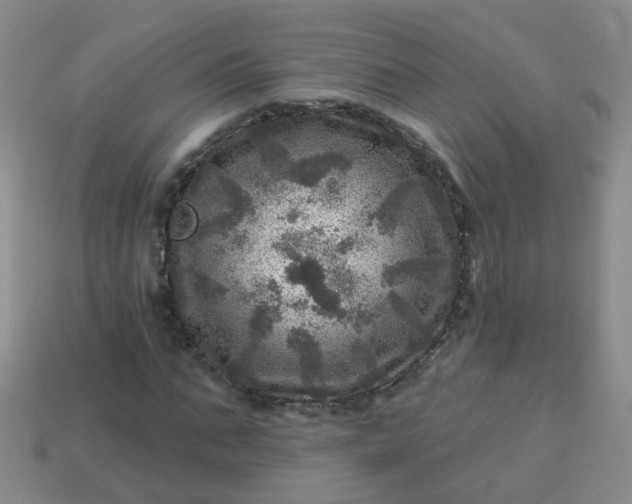 X0000113860871200910081704