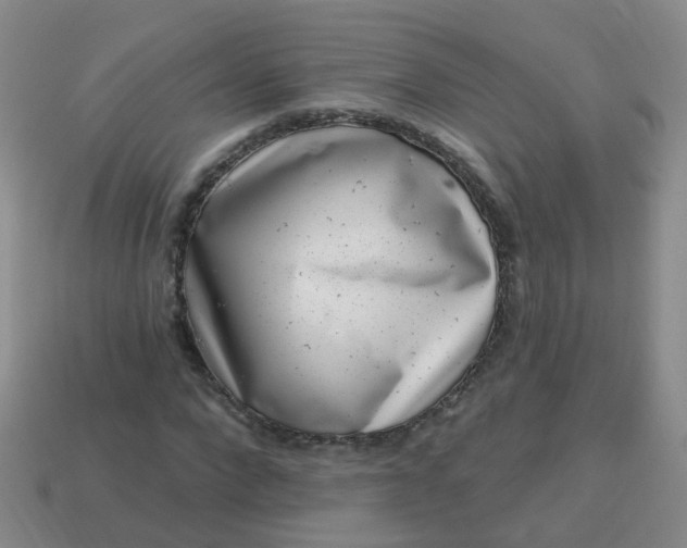 X0000113860872200910081704