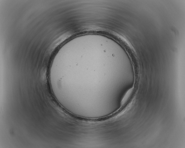 X0000113860873200910081704