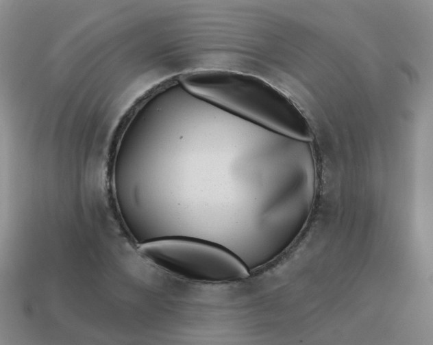 X0000113860880200910081704