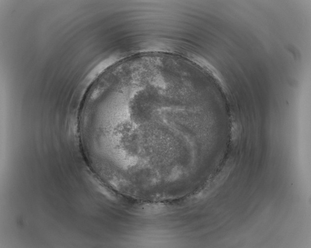 X0000113860882200910081704