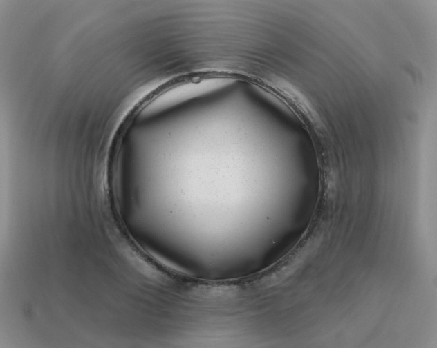 X0000113860884200910081704