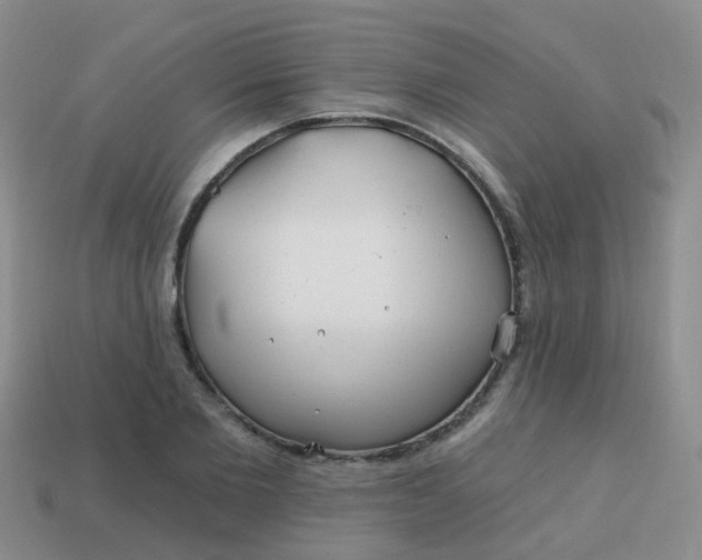 X0000113860885200910081704