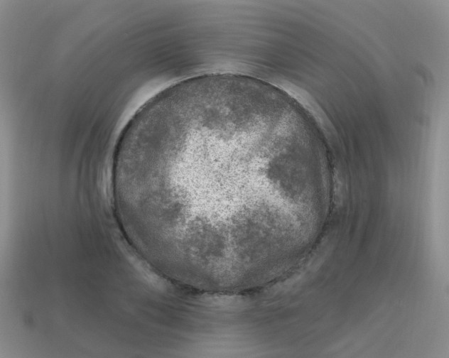 X0000113860886200910081704