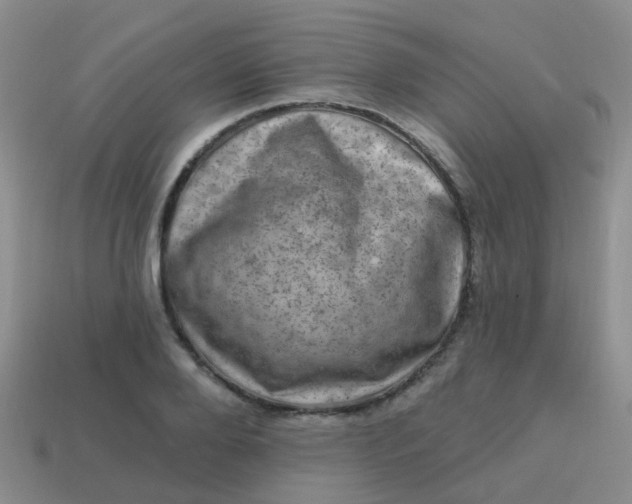 X0000113860888200910081704