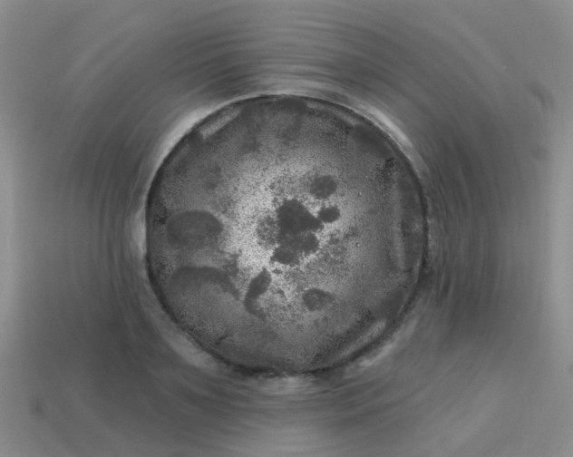X0000113860891200910081704