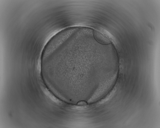 X0000113860892200910081704