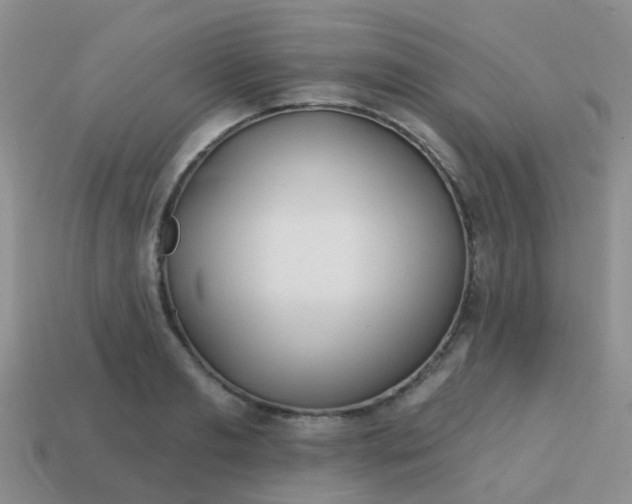 X0000113860893200910081704