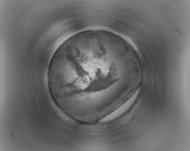 X0000113860895200910081703