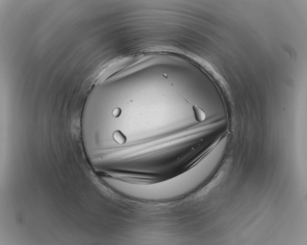 X0000113860897200910081703