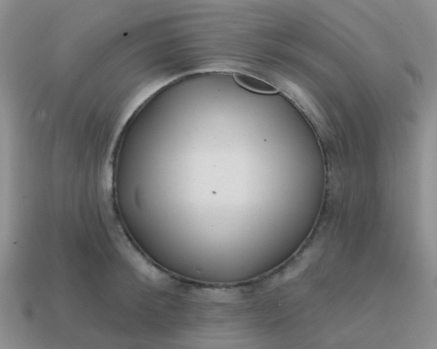 X0000113860900200910081703