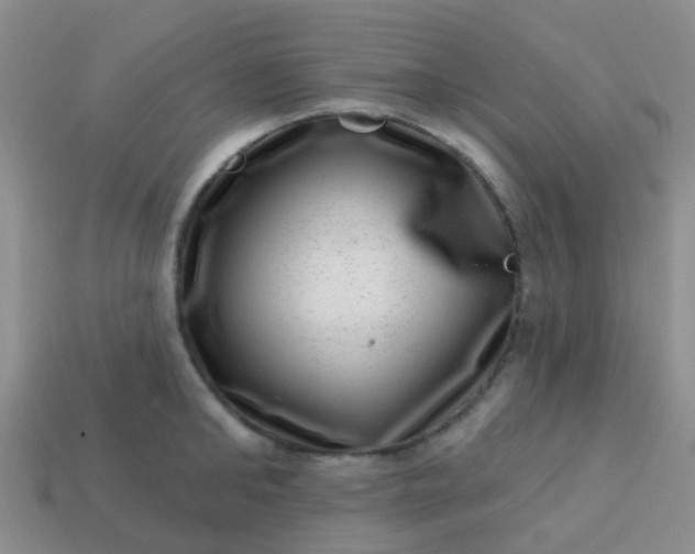 X0000113860902200910081703