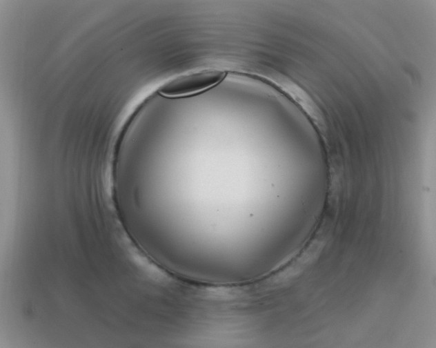 X0000113860904200910081703