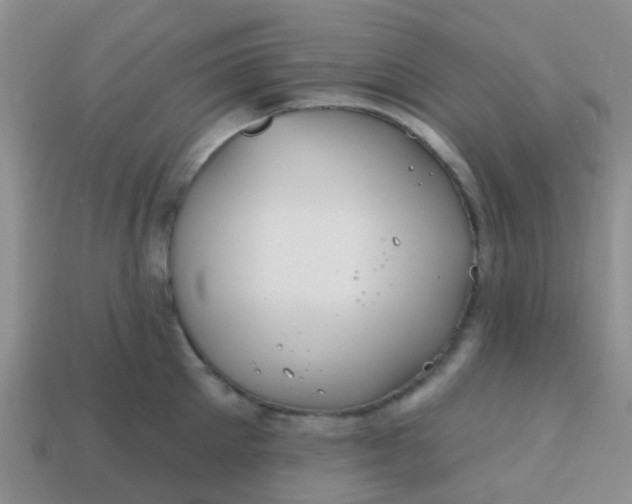 X0000113860905200910081703