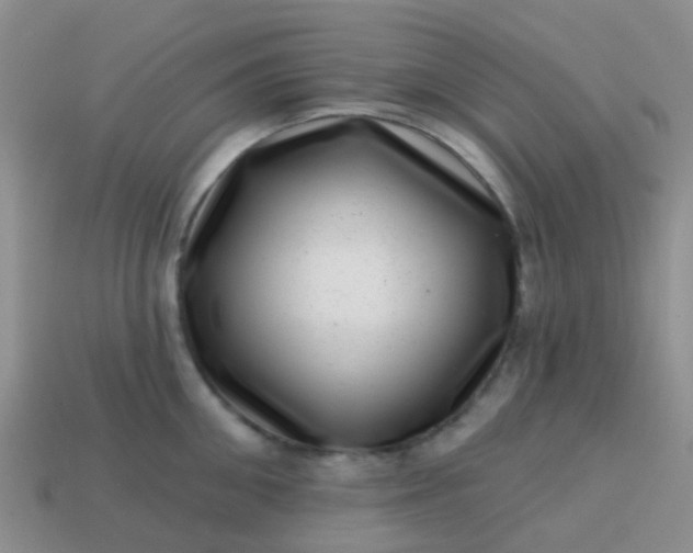 X0000113860906200910081703