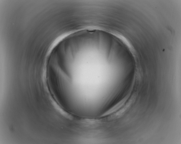 X0000113860910200910081703