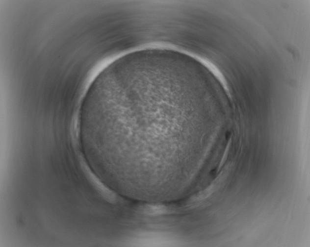 X0000113860911200910081703