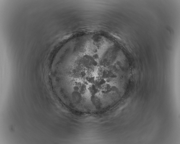 X0000113860913200910081703