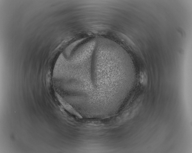 X0000113860915200910081703