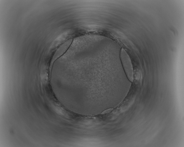 X0000113860916200910081703