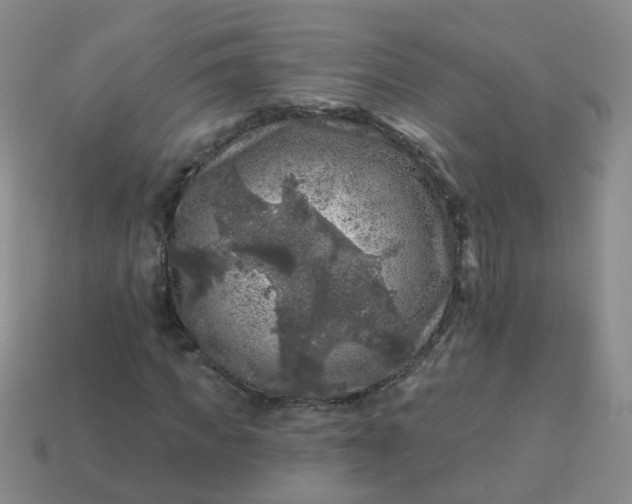 X0000113860917200910081703