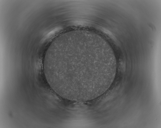 X0000113860918200910081703