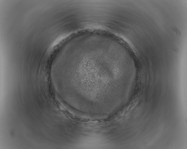 X0000113860919200910081703