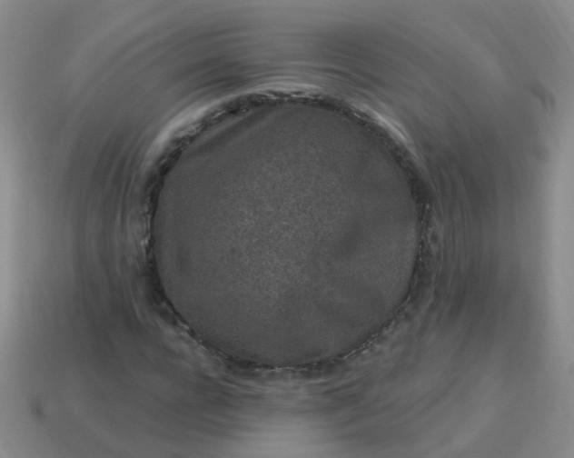 X0000113860920200910081703