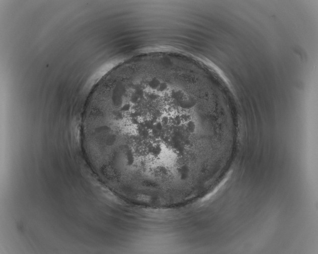 X0000113860921200910081703