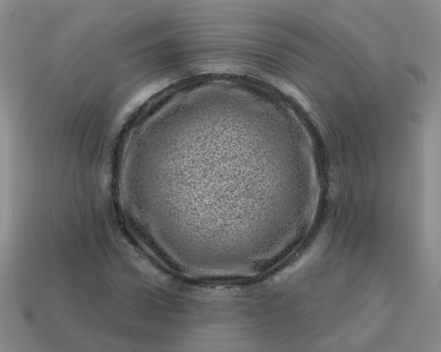 X0000113860922200910081703