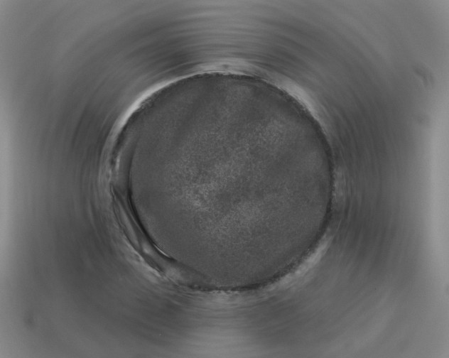 X0000113860923200910081703