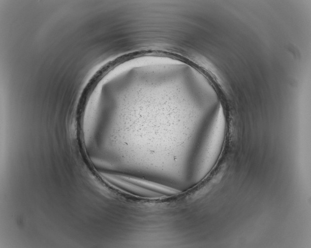 X0000113860924200910081703
