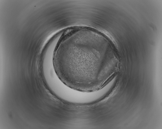 X0000113860926200910081703