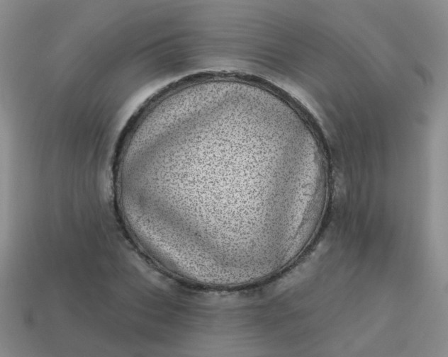 X0000113860927200910081703