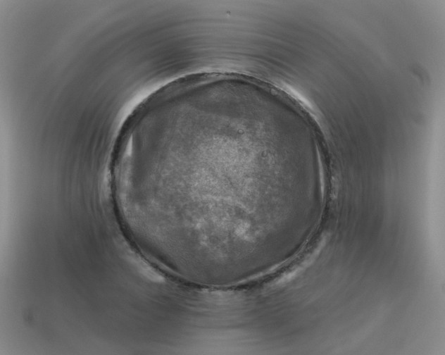 X0000113860928200910081703