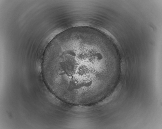 X0000113860929200910081703