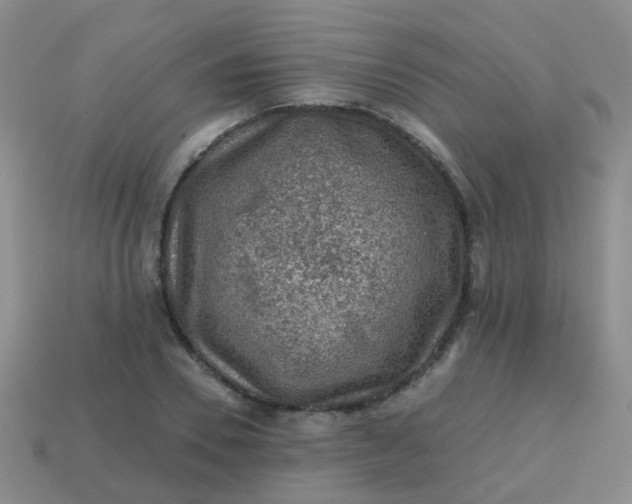 X0000113860930200910081703
