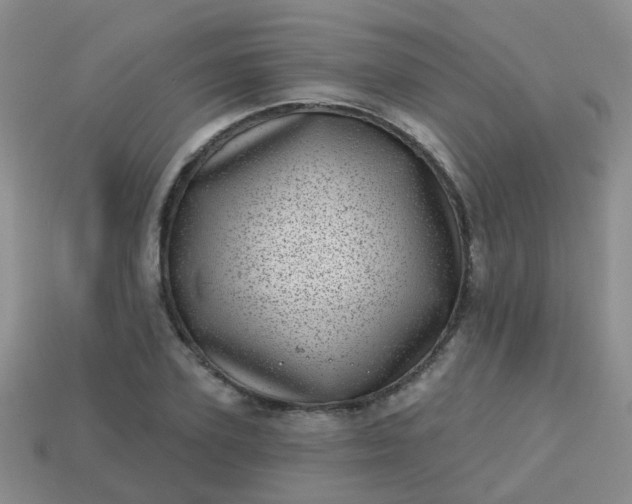 X0000113860931200910081703