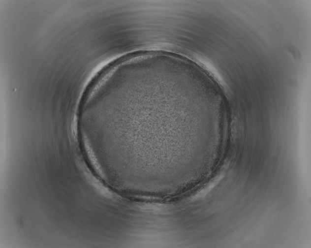 X0000113860932200910081703
