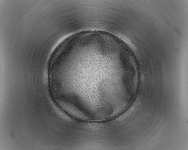 X0000113860934200910081703