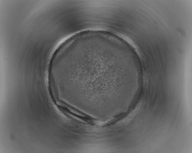 X0000113860935200910081703